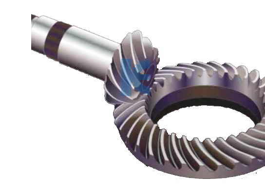 Worm & Worm Wheel