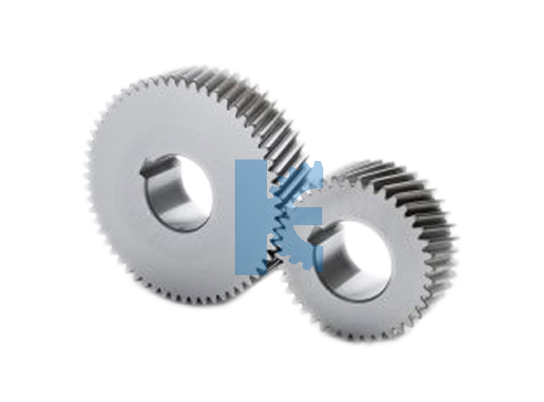Worm & Worm Wheel