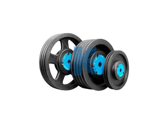 Worm & Worm Wheel