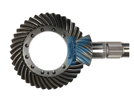 Worm & Worm Wheel