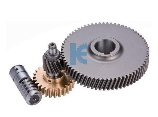 Worm & Worm Wheel